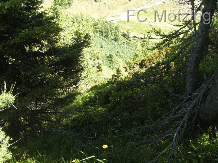 BILD0532.JPG