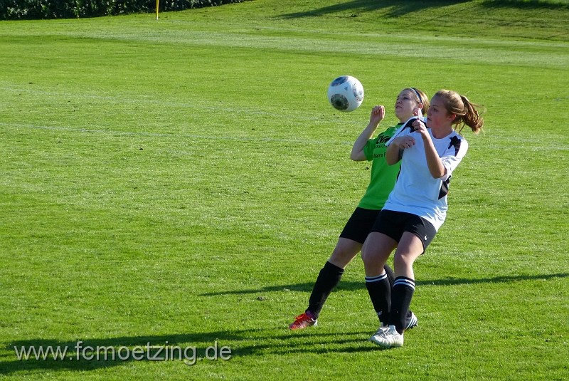 P1290161.JPG
