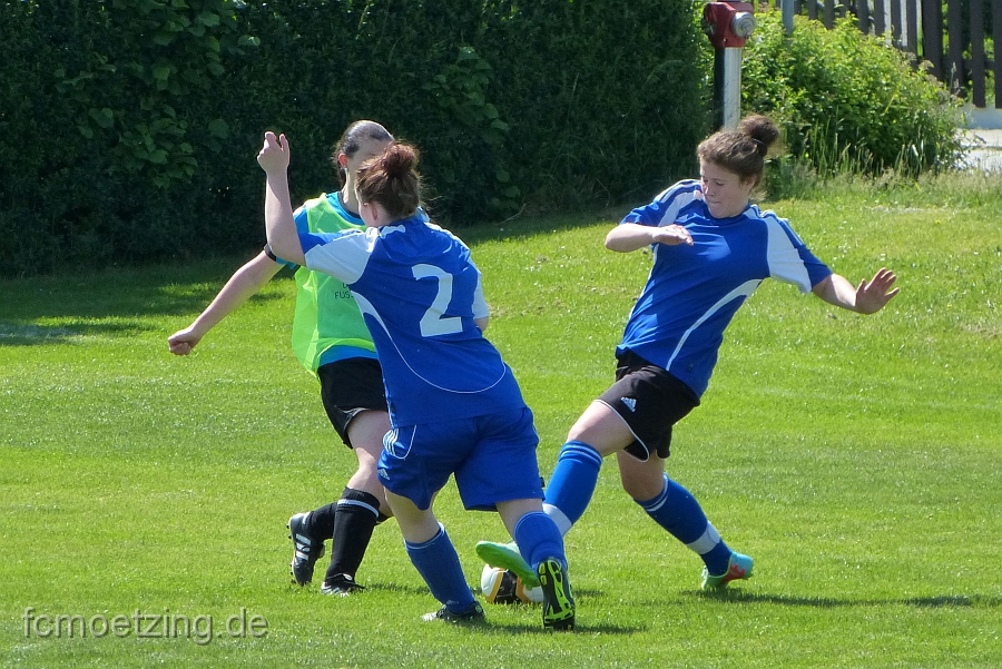 P1350395.JPG