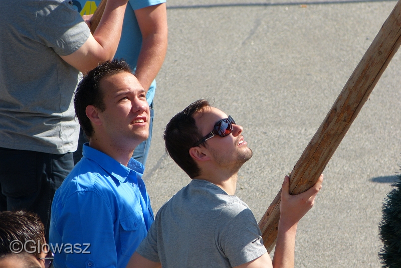 P1030419.JPG