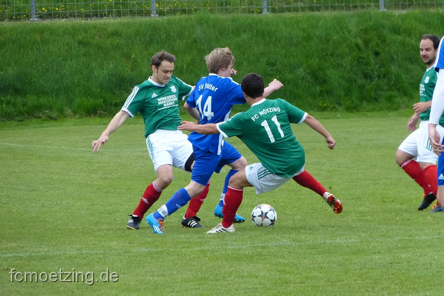 P1340408.JPG